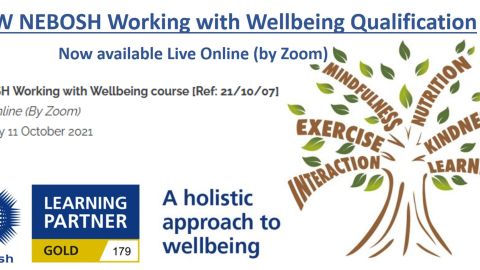 Working with Wellbeing 11 Oct 2021