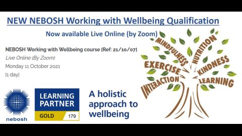 Working with Wellbeing 11 Oct 2021
