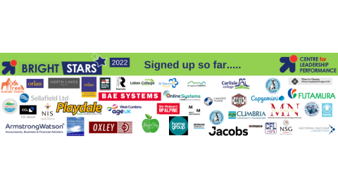 Bright Stars Business Logos 2022 6 1024x256