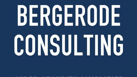 New Bergerode Consulting